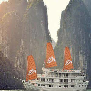  Paradise Peak Cruise